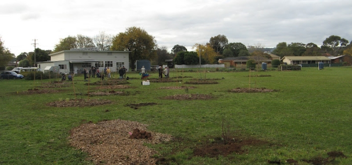 2012-05-06-planting-the-apple-trees